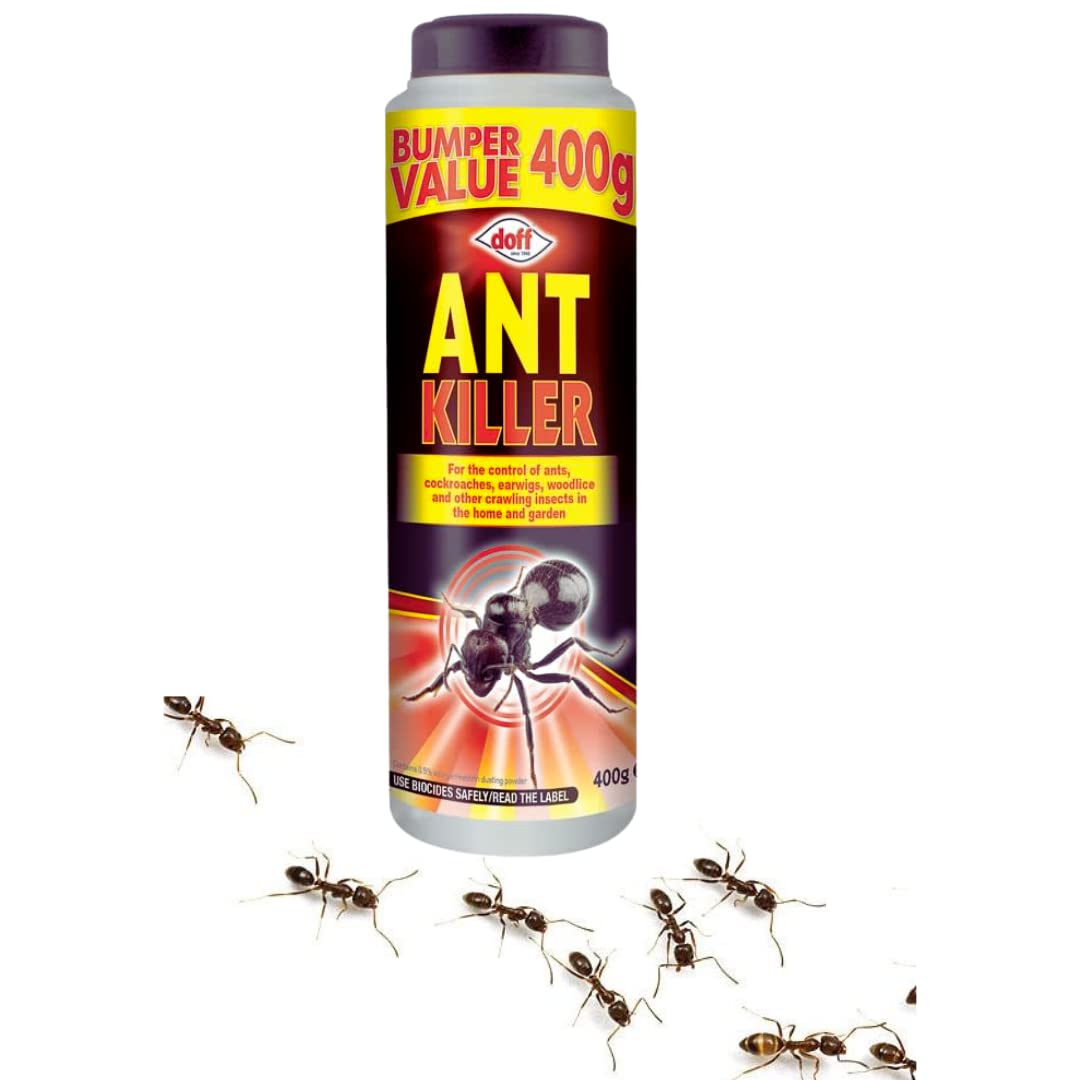 51HABQwClsL._SL1080_