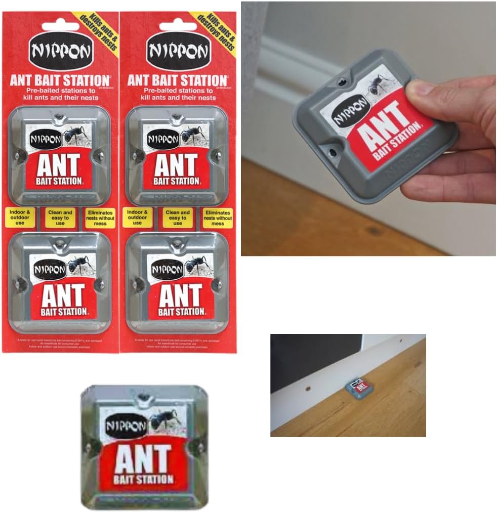 611dD+4XfuL._AC_SL1080_